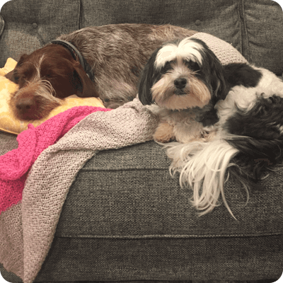 Bozzy-on-left-is-6-and-Riley-on-right-is-13.