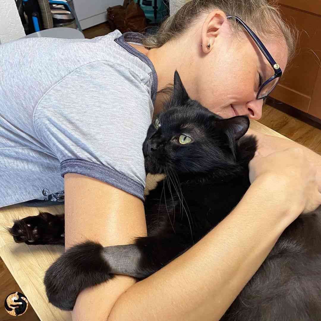 Cole and Marmalade