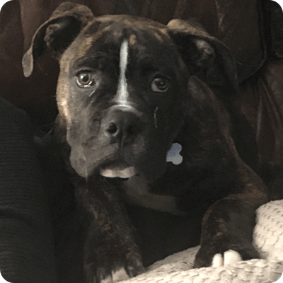 Maverick-3-months
