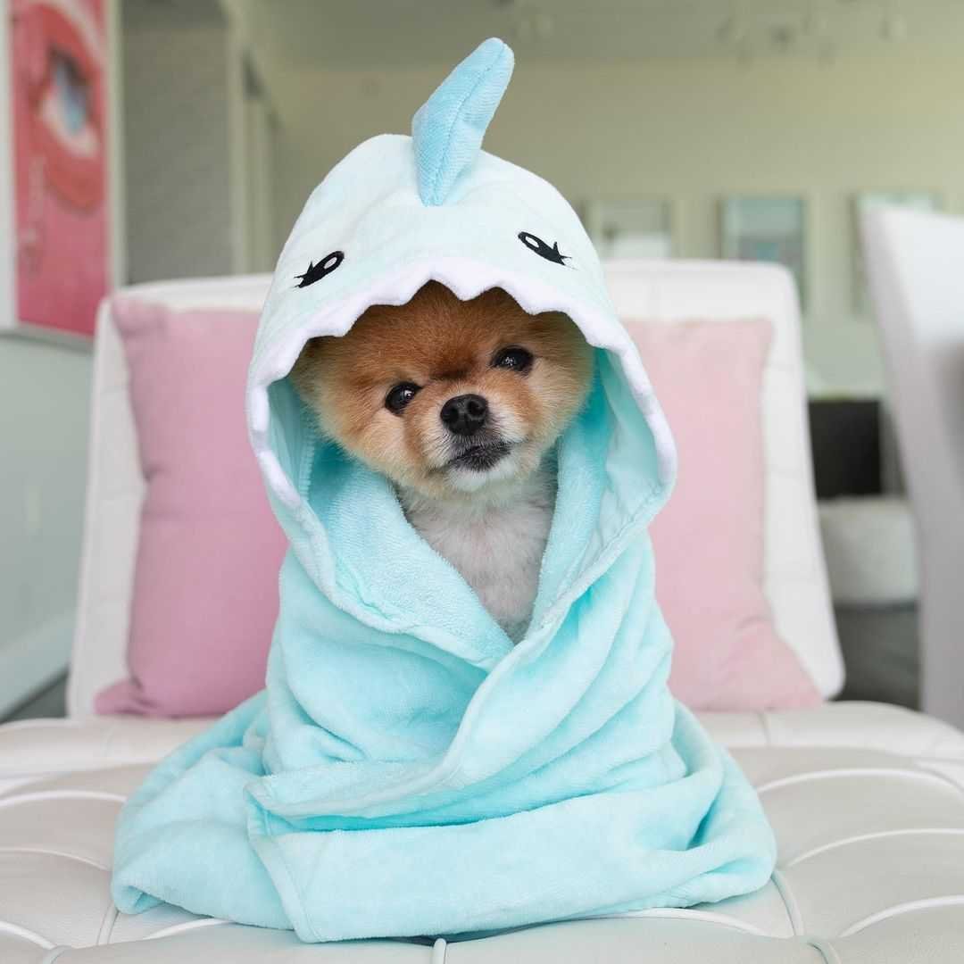 Jiffpom