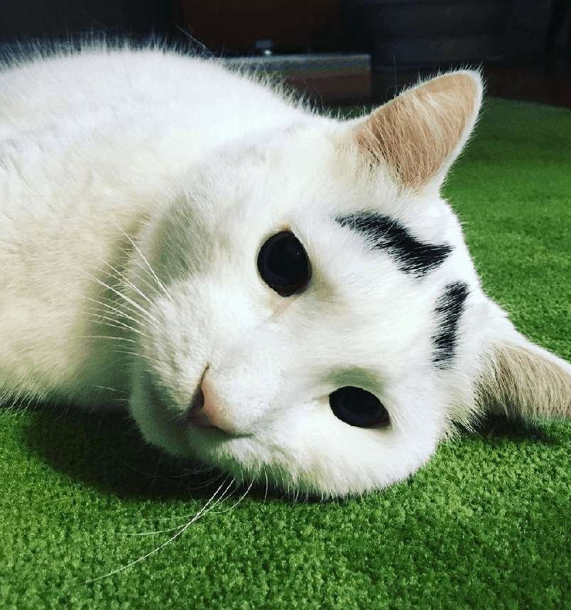 Sam