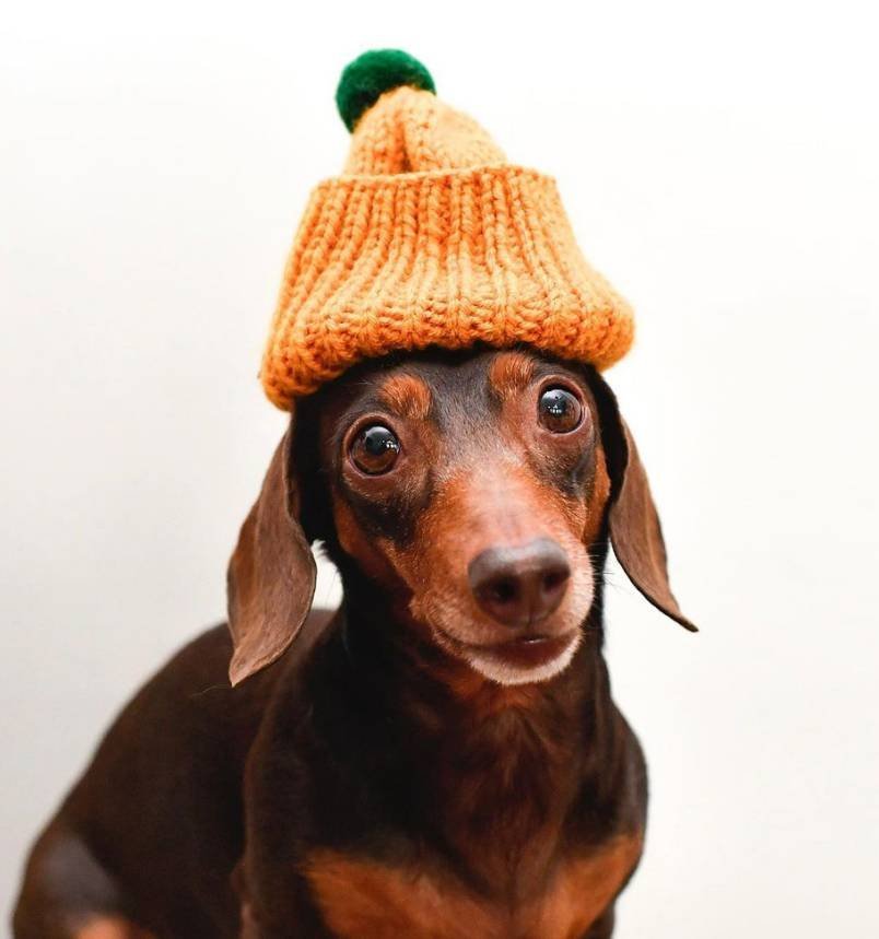 Harlowandsage