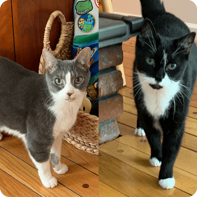 PJ-Roxie-both-12-years