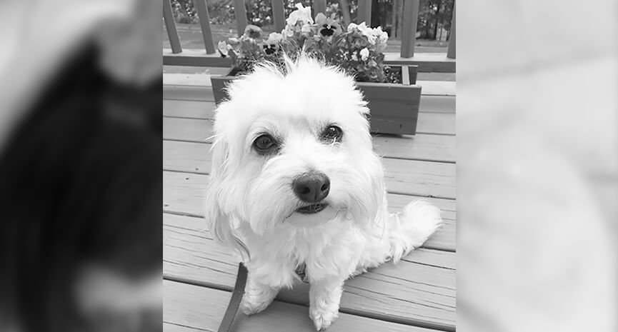 Gracie-is-a-real-22Flower-Child22-A-real-pretty-girl-too-2