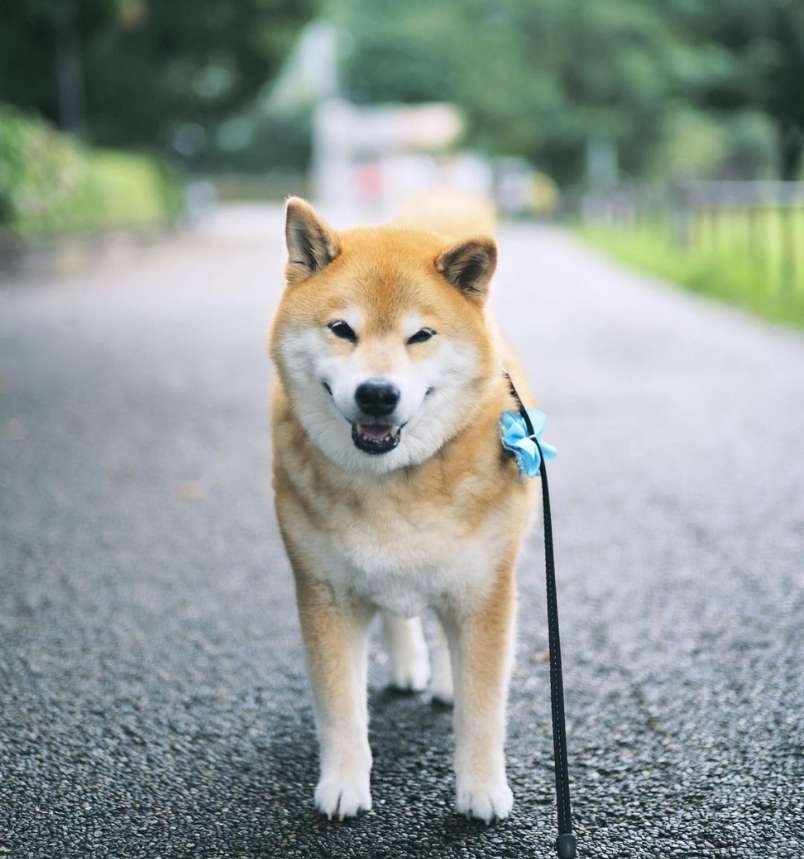 Marutaro