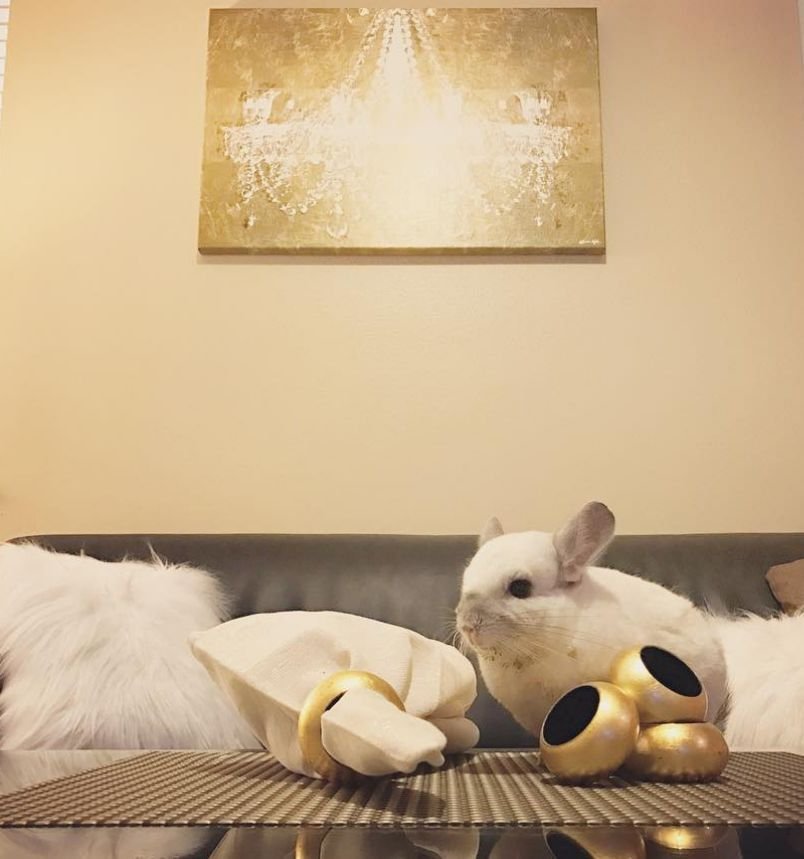 Chinnybuddy