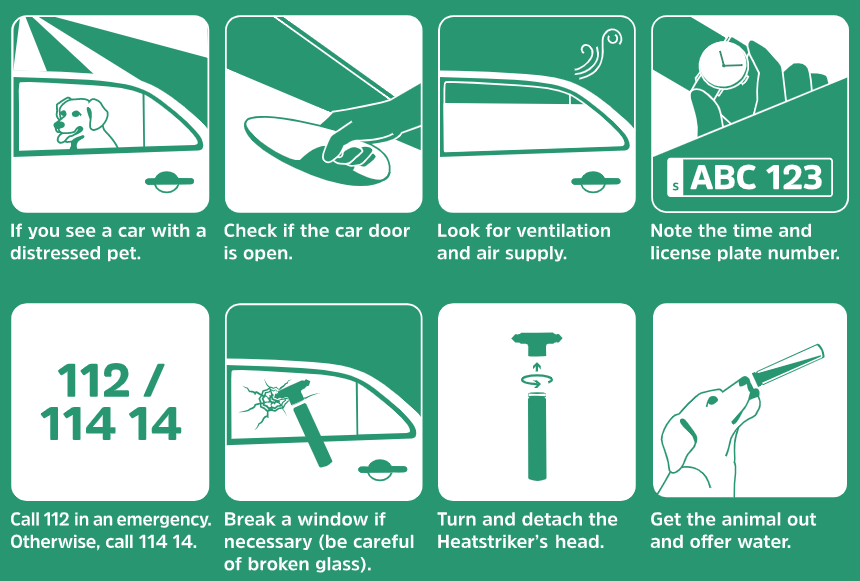 Step by Step to Rescue A Dog in a Closed Car