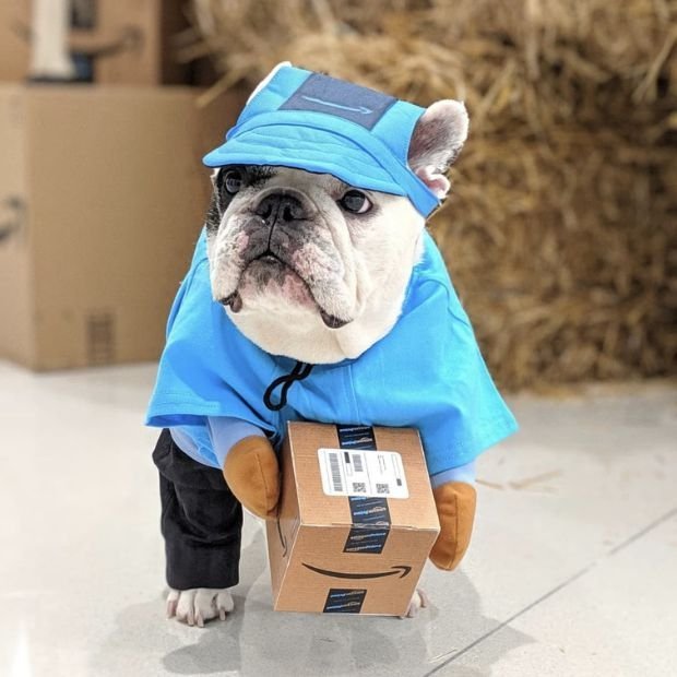 Manny The Frenchie06